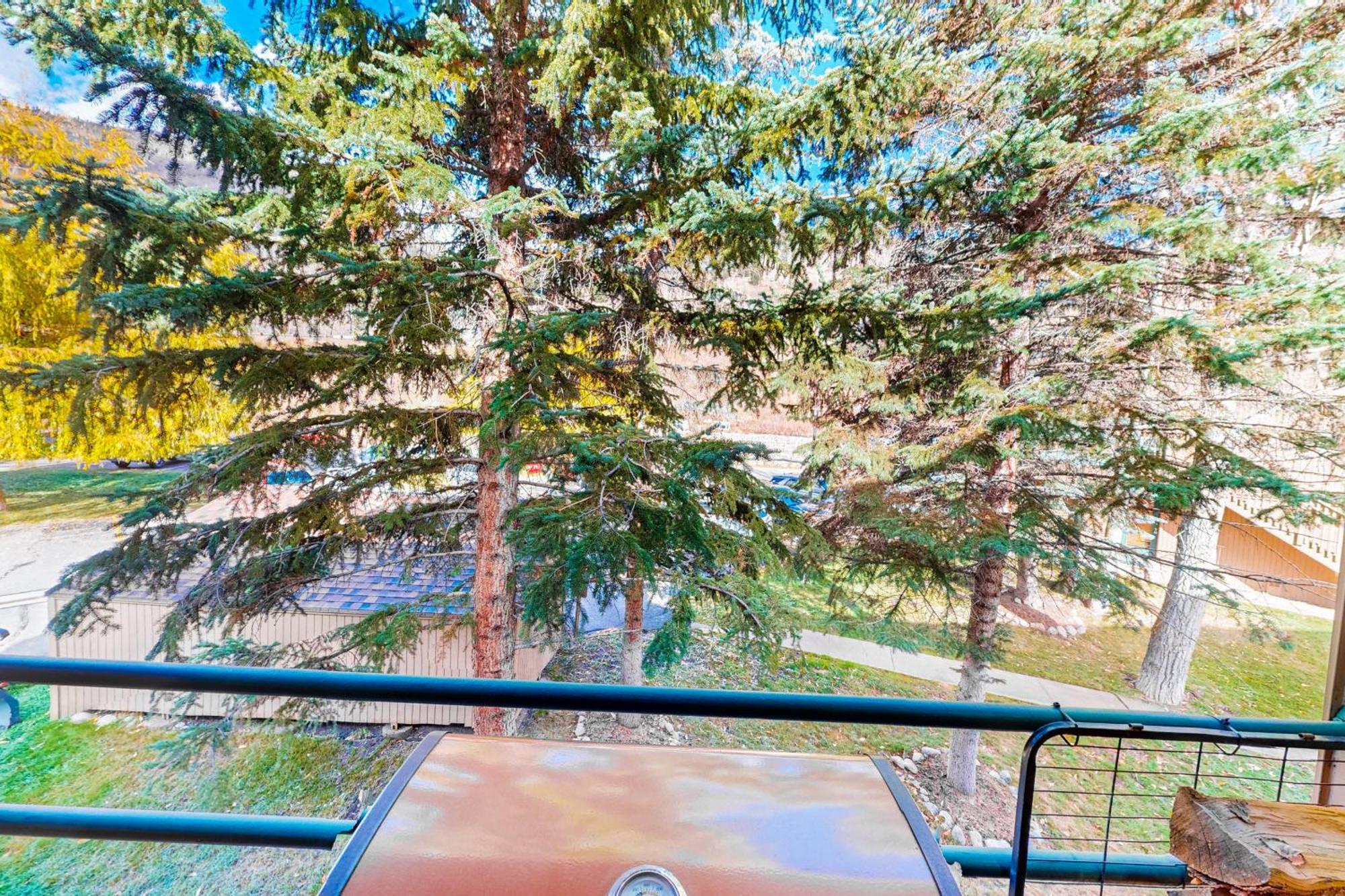 ベール Pitkin Creek Park 7ヴィラ 部屋 写真